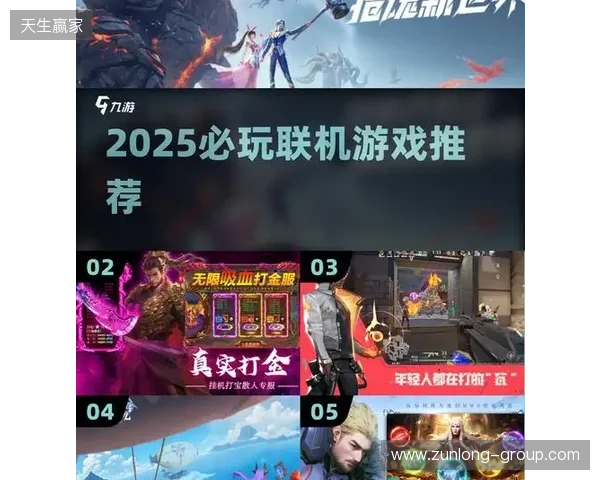 2025年联机游戏加速软件横评:谁是玩家流畅联机终极之选?