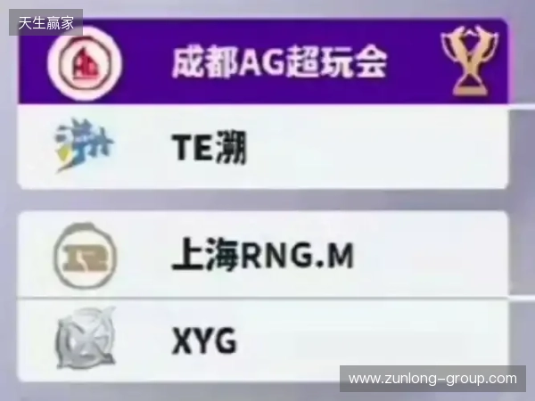 2025王者挑杯抽签结果公布 TE溯将迎战AG超玩会